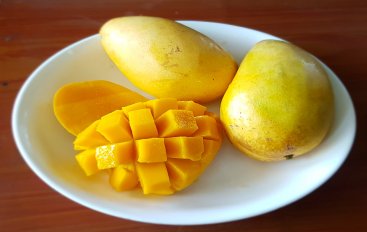 Centre Denies Reports Of Nepal Banning Indian Mangoes - BW Businessworld