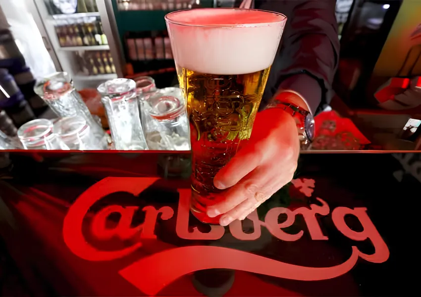 Carlsberg India Files Updated IPO Prospectus For 8.64 Cr Equity Shares ...