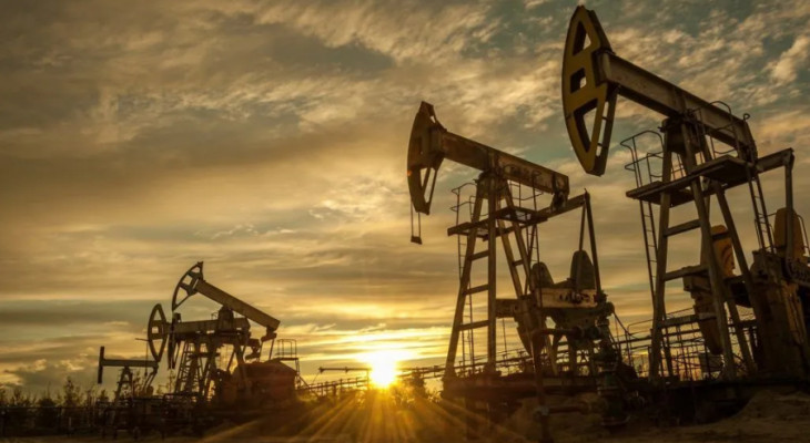 Govt Steps Up Fuel Security, Citizen Evacuations Amid Gulf Crisis - BW ...