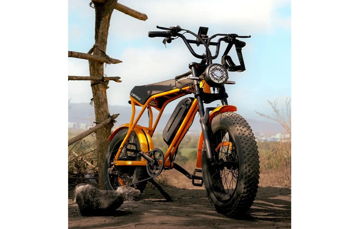 EMotorad Launches Moto-style Electric Cycle 'Ranger' At Rs 60K