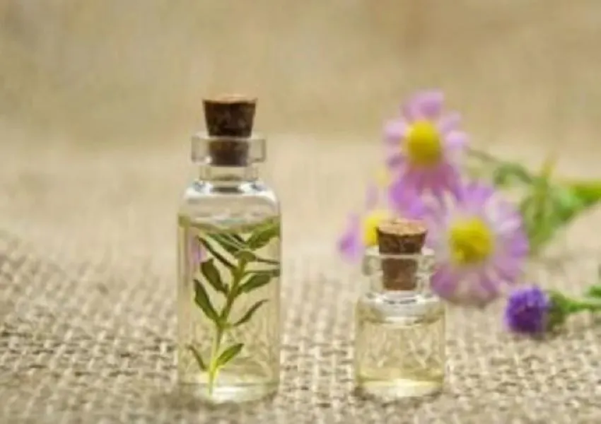 Some Essential Essential Oils And Their Multiple Benefits - BW Wellbeing World