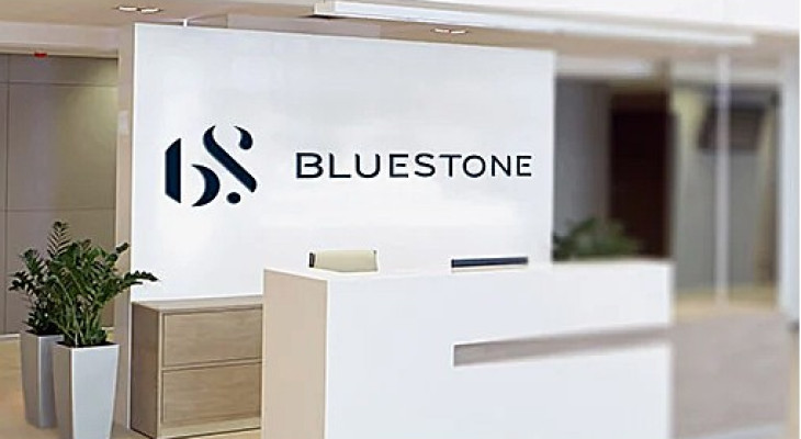 BlueStone Q4 Revenue Jumps 49%, Posts Profit In FY26 - BW Businessworld