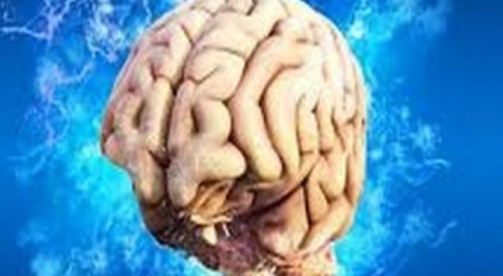 We Track Our Steps Every Day; So Why Aren’t We Tracking Our Brain ...