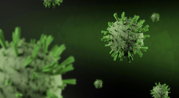 WHO Confirms Six Hantavirus Cases Linked To Cruise Ship Outbreak