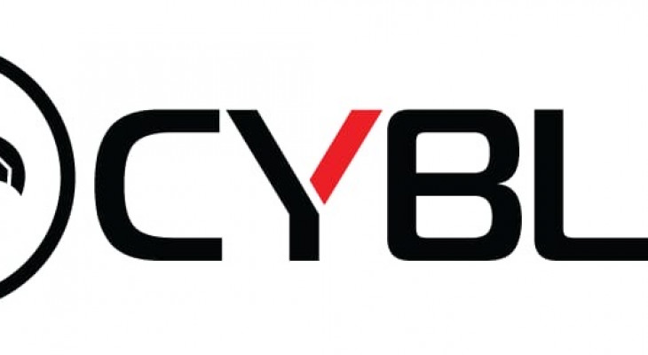 India’s Evolving Cybersecurity Landscape: How Cyble Is Strengthening ...