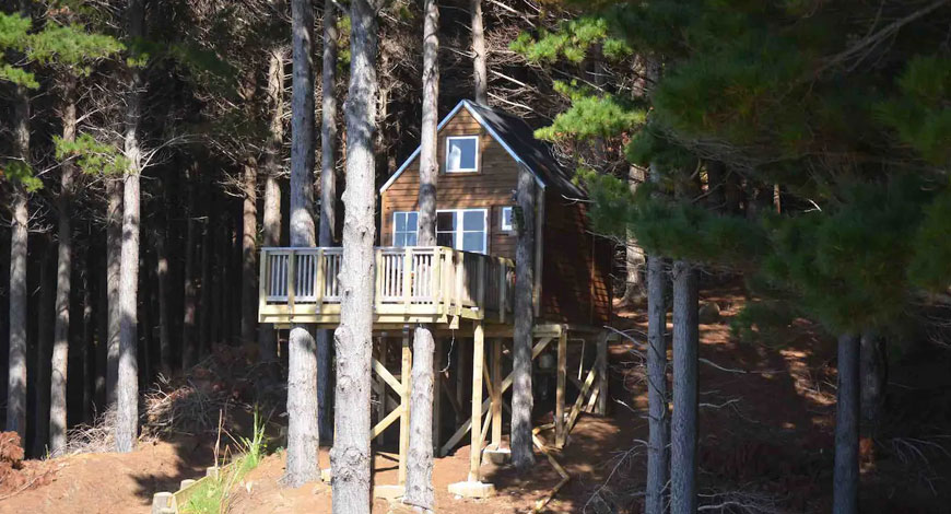 Treehouse Raglan New Zealand tells travellers to live small and think big - BW Hotelier